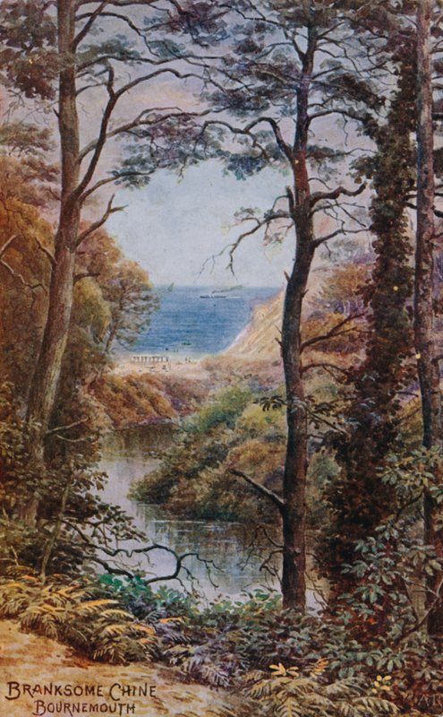 Branksome Chine, Bournemouth de Alfred Robert Quinton