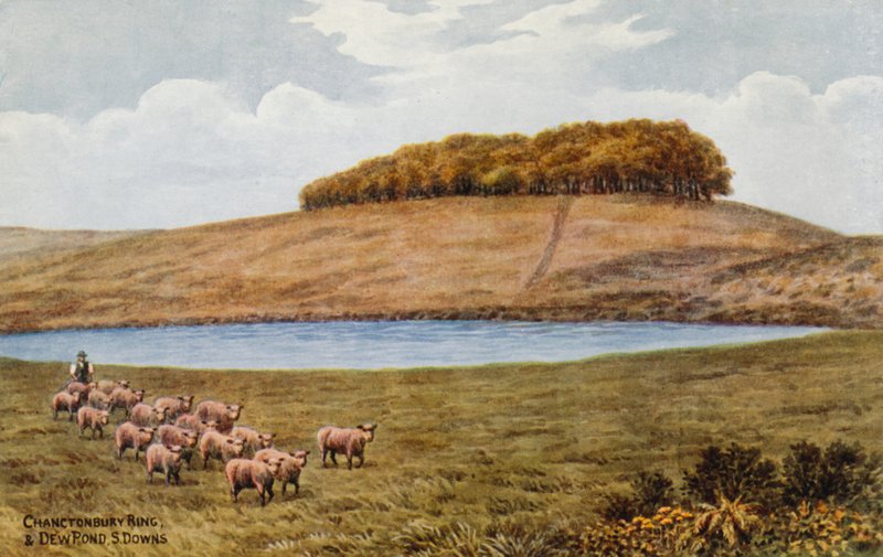 Chanctonbury Ring e Dew Pond, S Downs de Alfred Robert Quinton