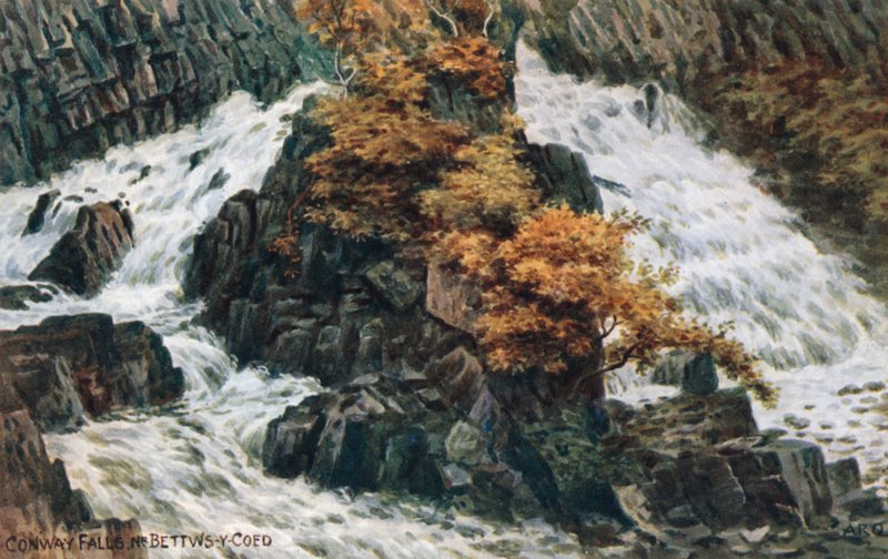 Conway Falls, Nr Bettws-y-Coed de Alfred Robert Quinton