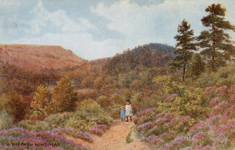 Hindhead de Alfred Robert Quinton