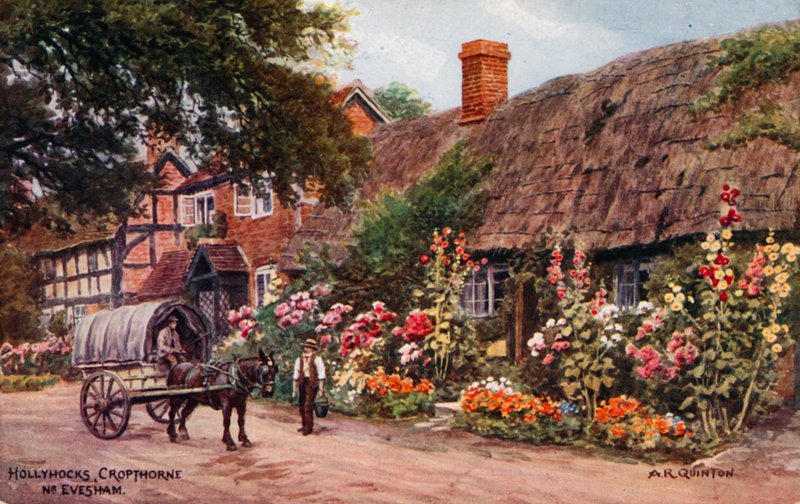 Malva-rosa, Cropthorne, Evesham de Alfred Robert Quinton