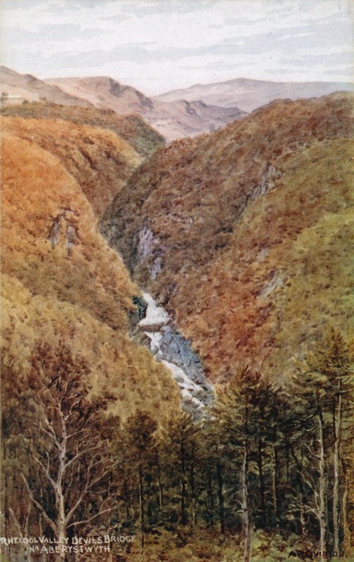 Vale do Rheidol, Ponte do Diabo, Nr. Aberystwyth de Alfred Robert Quinton