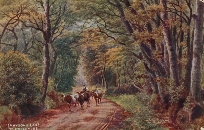 Lane de Tennyson perto de Haslemere de Alfred Robert Quinton