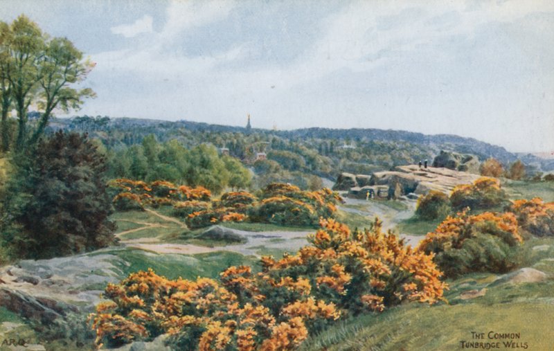O Comum, Tunbridge Wells de Alfred Robert Quinton