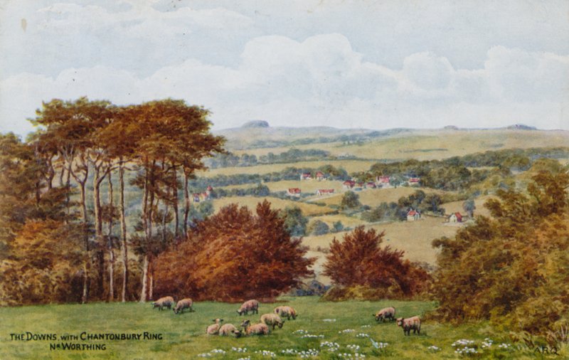 Os Downs com Chantonbury Ring, Nr Worthing de Alfred Robert Quinton