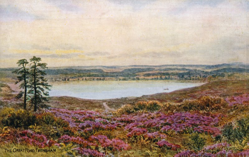 O Grande Lago, Frensham de Alfred Robert Quinton