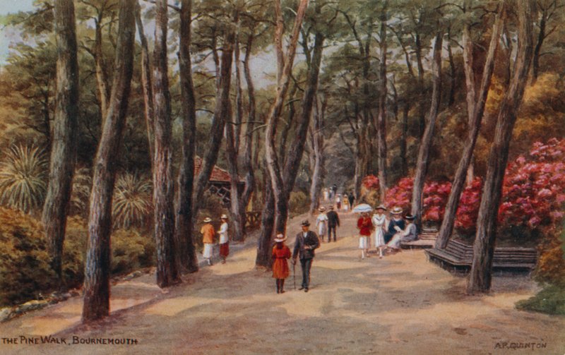 A caminhada do pinho, Bornemouth de Alfred Robert Quinton