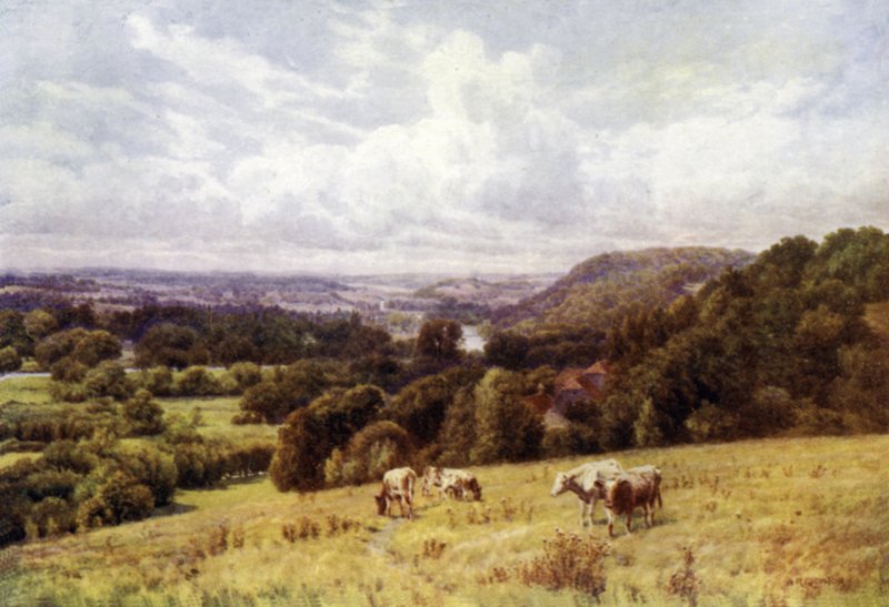 O Vale do Tamisa de Hennerton, Henley de Alfred Robert Quinton