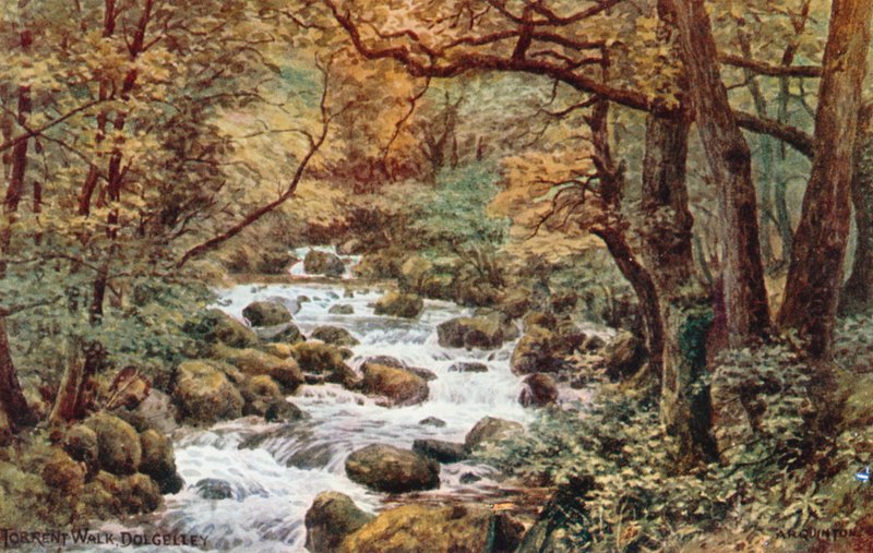 Torrent Walk, Dolgelley de Alfred Robert Quinton