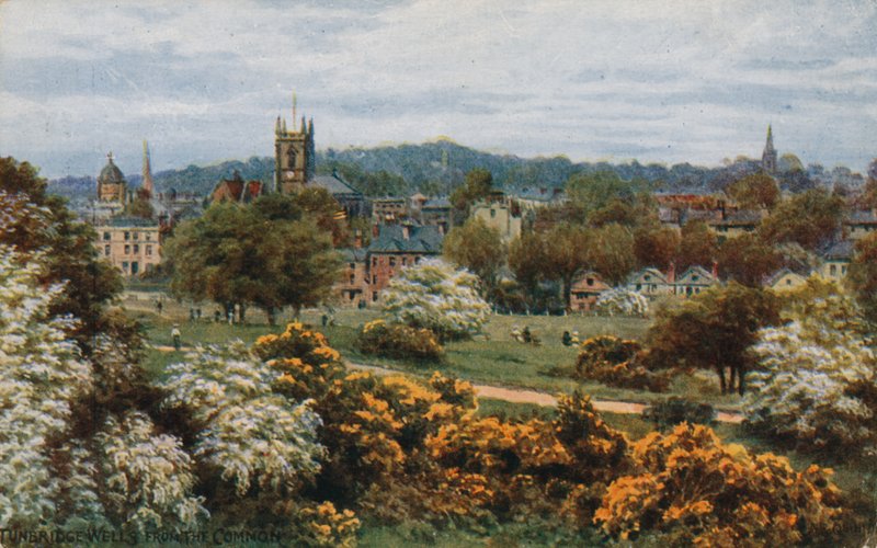 Tunbridge Wells de The Common de Alfred Robert Quinton