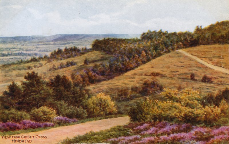 Vista da Cruz de Gibbet, Hindhead de Alfred Robert Quinton