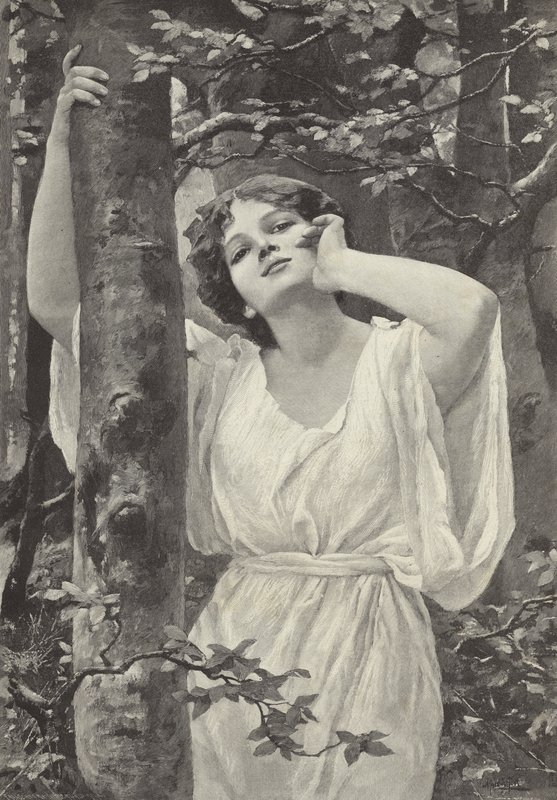 Eco de Alfred Seifert