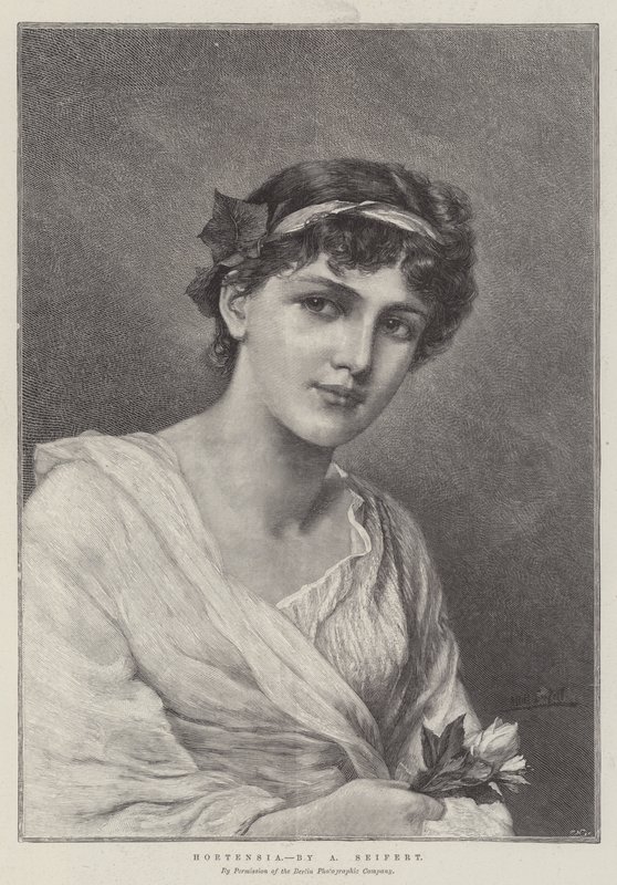 Hortênsia de Alfred Seifert