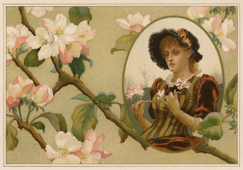 A macieira conceituada (cromolitho) de Alice Havers