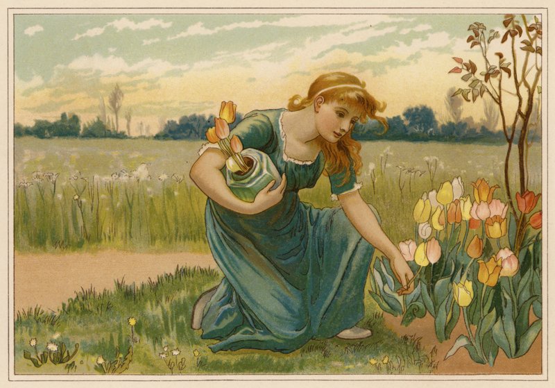 A Margarida (cromolito) de Alice Havers