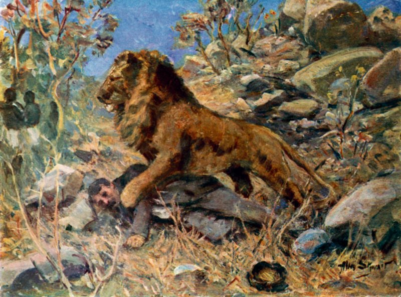 David Livingstone, Livingstone e o leão (lito colorido) de Allan (after) Stewart
