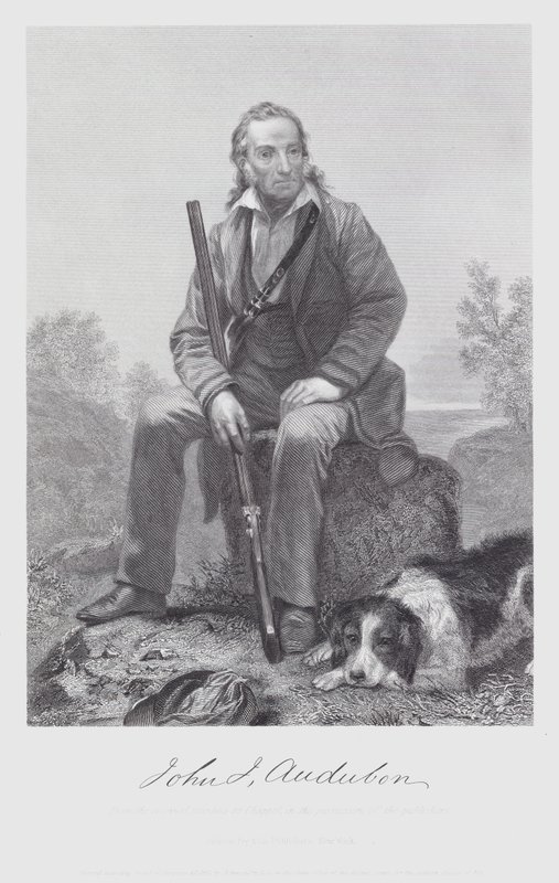 John James Audubon (gravura) de Alonzo (after) Chappel