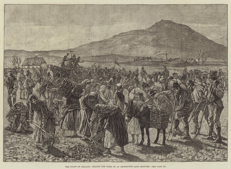 O Estado da Irlanda, cultivando a Fazenda de um Ladrão de Terra Preso de Aloysius O