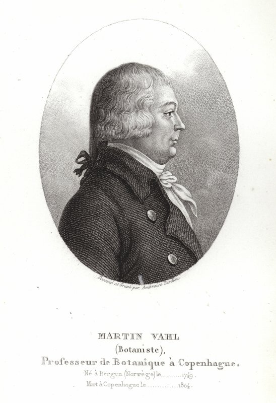 Martin Vahl de Ambroise Tardieu