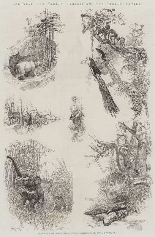 Exposição Colonial e Indiana, o Império Indiano de Amedee Forestier