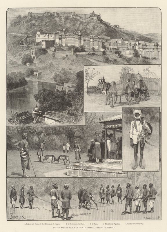 Prince Albert Victor na Índia, Entertainments na Jeypore de Amedee Forestier