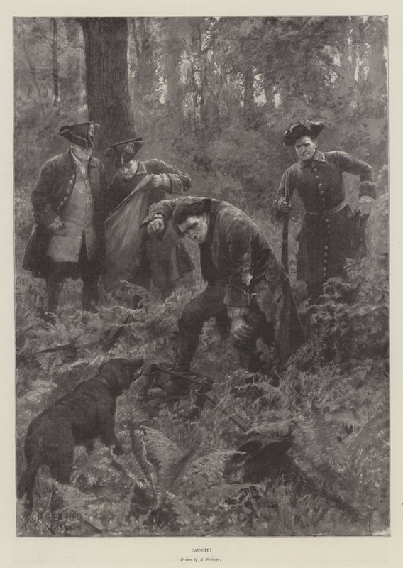 Apanhado! de Amedee Forestier
