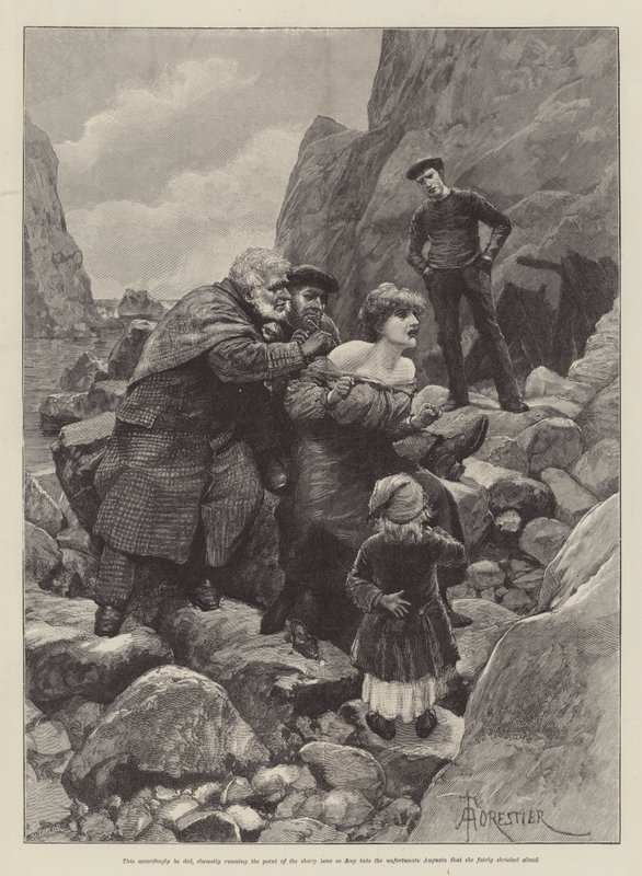 Meeson&39;s Will, de H Rider Haggard de Amedee Forestier