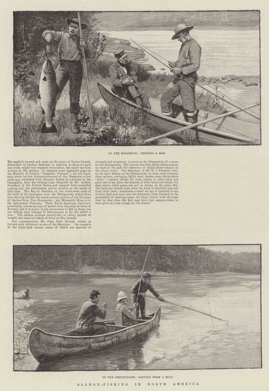 Pesca de salmão na América do Norte de Amedee Forestier