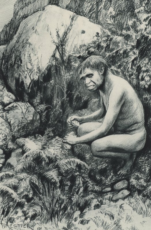 O antigo inquilino do Antigo Planalto, talvez dez mil séculos atrás de Amedee Forestier
