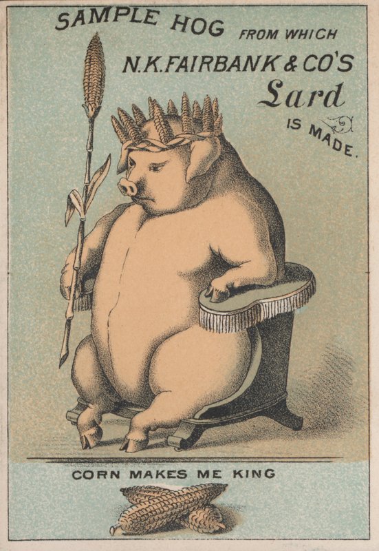Propaganda para a banha da NK Fairbank & Co de American School