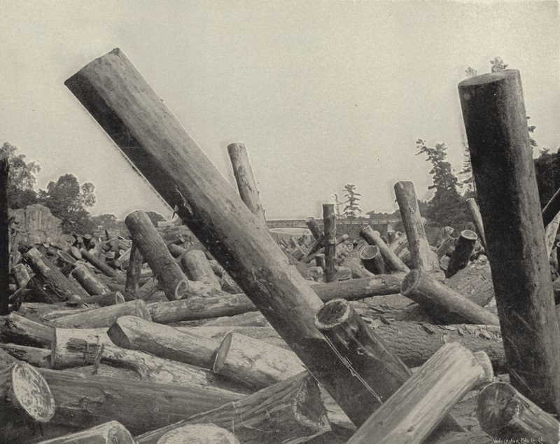 A Log Jam em St Croix River, Wisconsin (foto a p/b) de American Photographer (after)