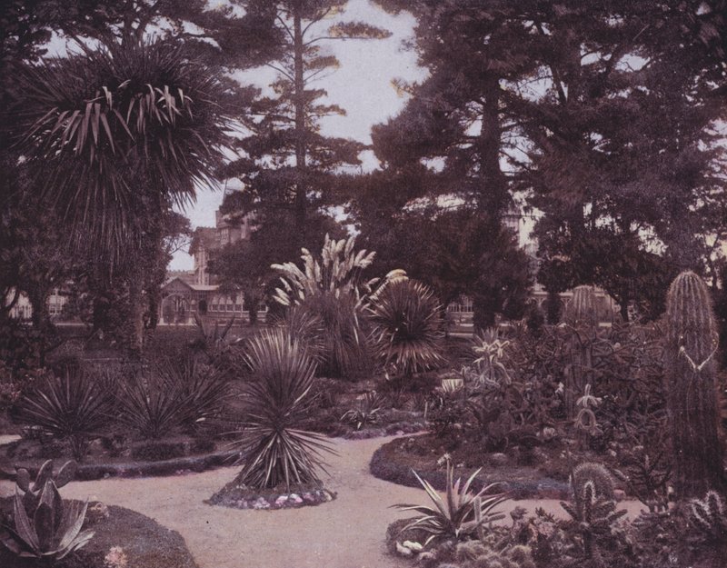 Um jardim de cactos do sul da Califórnia (foto a p/b) de American Photographer (after)