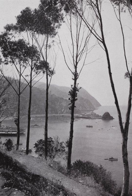 Califórnia: Baía de Avalon, Ilha de Santa Catalina, terra mágica no Oceano Pacífico a 30 milhas do continente do Sul da Califórnia (foto a p/b) de American Photographer (after)