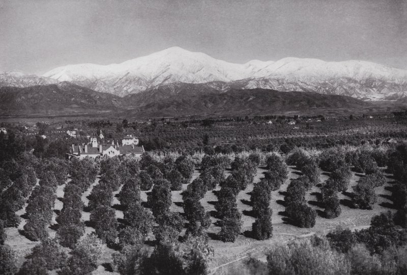 Califórnia: Redlands, de Smiley Heights, sunshine, orange groves, e snowy peaks (foto a p/b) de American Photographer (after)