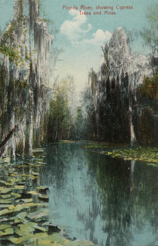 Rio Florida, mostrando Cypress Trees and Moss (foto) de American Photographer (after)