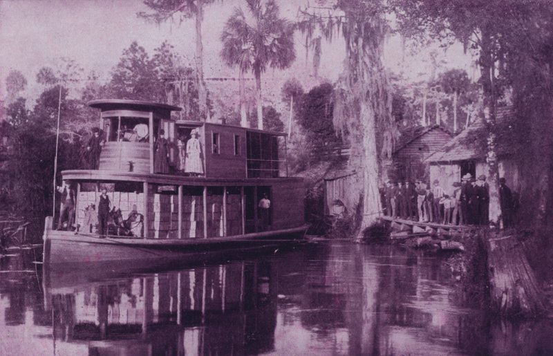No rio Ocklawaha, Florida (foto a p/b) de American Photographer (after)