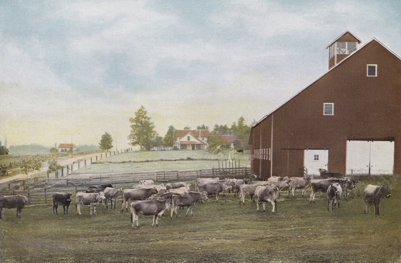 Oregon: Fazenda de laticínios em Willamette Valley (foto) de American Photographer (after)