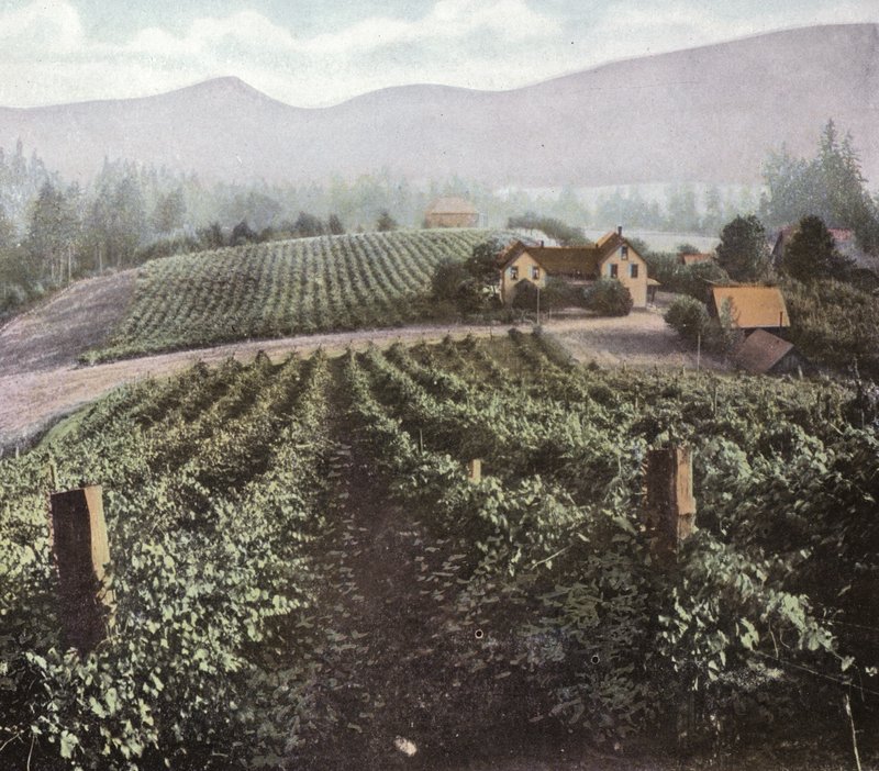 Oregon: Agricultura Diversificada no Vale de Willamette (foto) de American Photographer (after)
