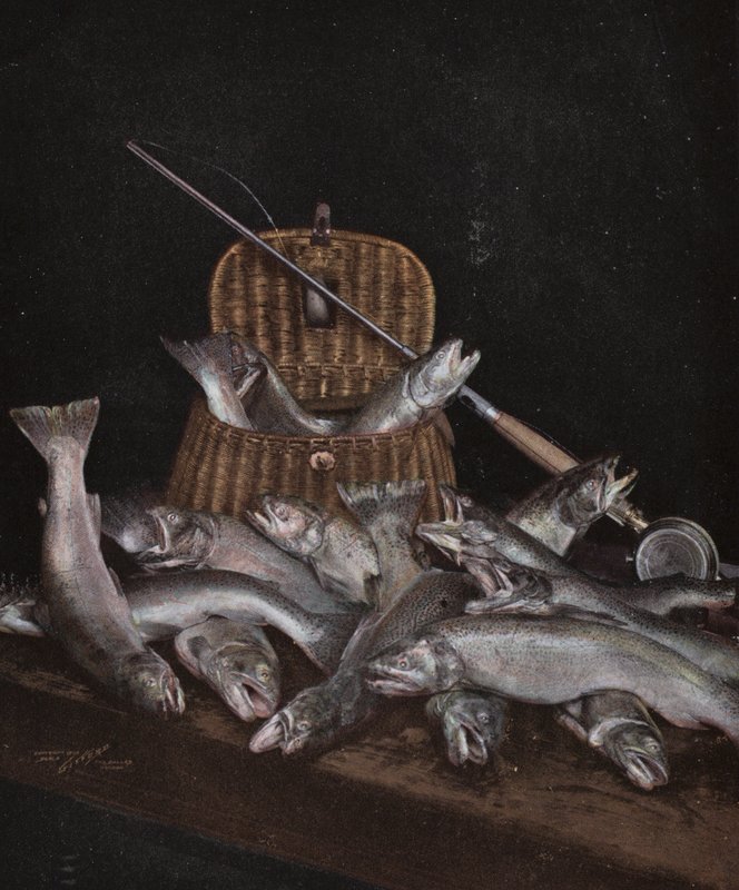 Oregon: Pesca (foto) de American Photographer (after)