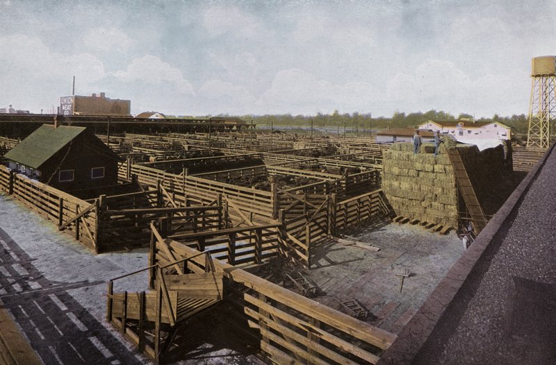 Oregon: Portland Union Stock Yards (foto) de American Photographer (after)