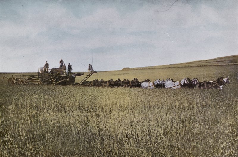Oregon: Threshing no Leste do Oregon (foto) de American Photographer (after)