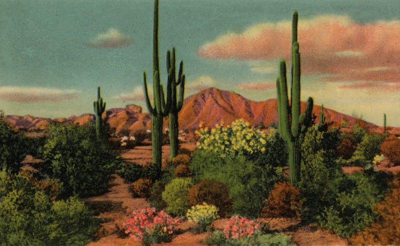 Phoenix, Arizona: Montanha do Camelo e Deserto (foto) de American Photographer (after)