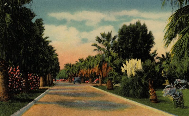 Phoenix, Arizona: Country Club Park (foto) de American Photographer (after)