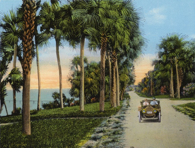 Riverside Drive, Fort Pierce, Flórida (foto) de American Photographer (after)