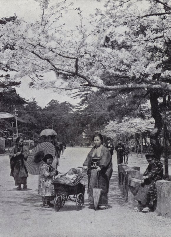 Debaixo da flor de cerejeira em Shiba Park, Tokio (foto a p/b) de American Photographer (after)