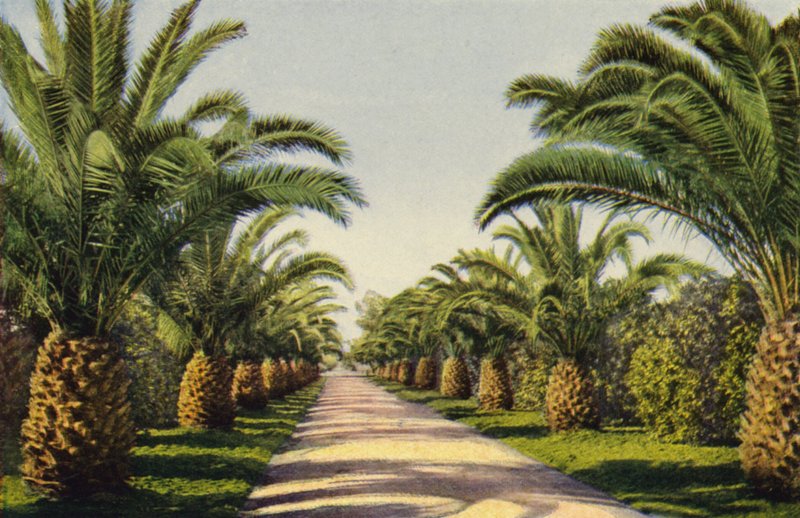 Um caminho de acesso em Riverside (fotografia a cores) de American Photographer