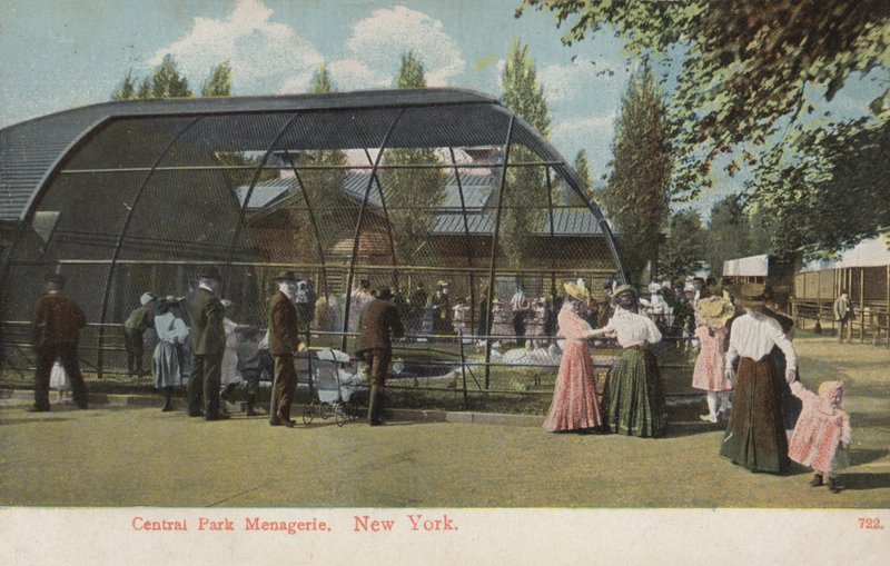 Central Park Menagerie, Nova Iorque (foto) de American Photographer