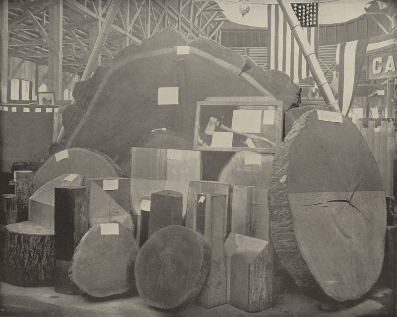 Machado Gladstone de American Photographer
