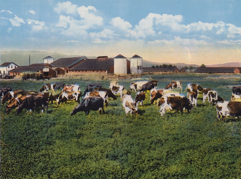 H R Timm Dairy, Dixon, Califórnia (fotografia a cores) de American Photographer