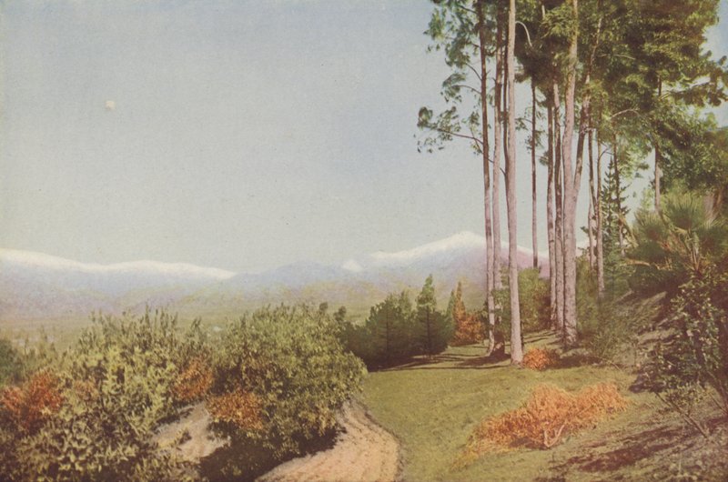 "Old Baldy", de Smiley Heights, Califórnia (fotografia a cores) de American Photographer